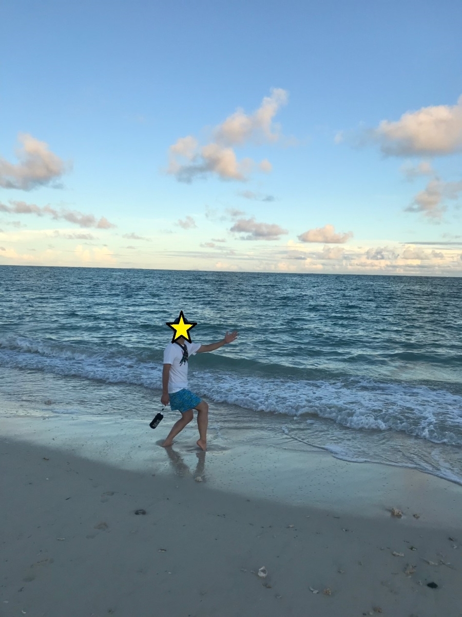 f:id:norisuke_chan:20190909000554j:plain