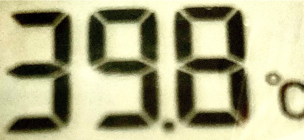 f:id:norisuke_oni-san:20240613222909j:image