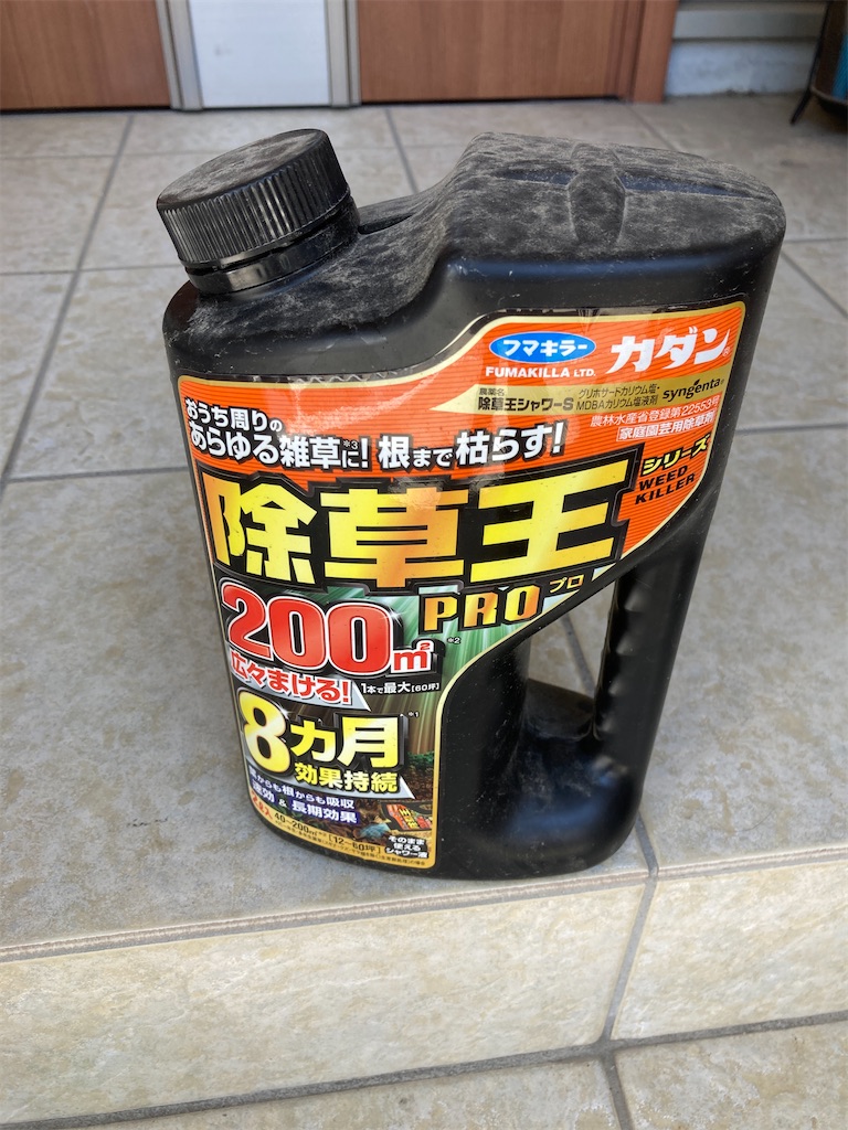 f:id:norisuke_oni-san:20240613222912j:image