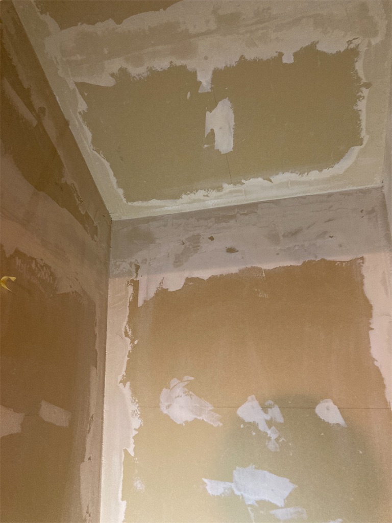 f:id:norisuke_oni-san:20241015064227j:image