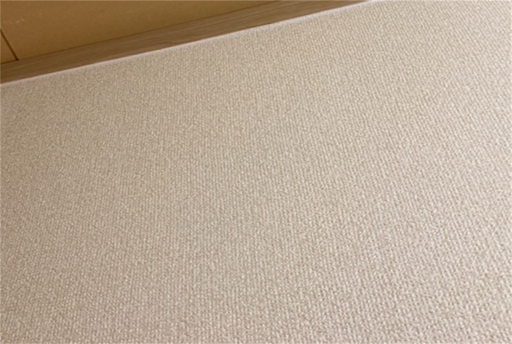 f:id:norisuke_oni-san:20241016072536j:image