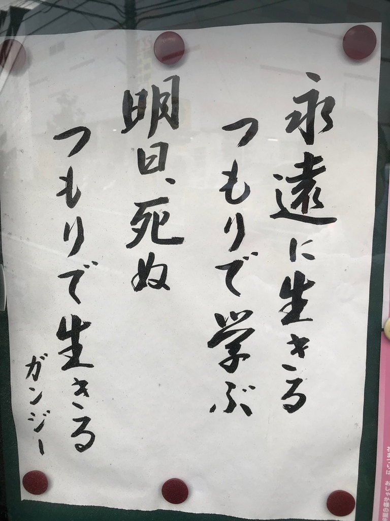 永遠に生きるつもりで学ぶ In My Life