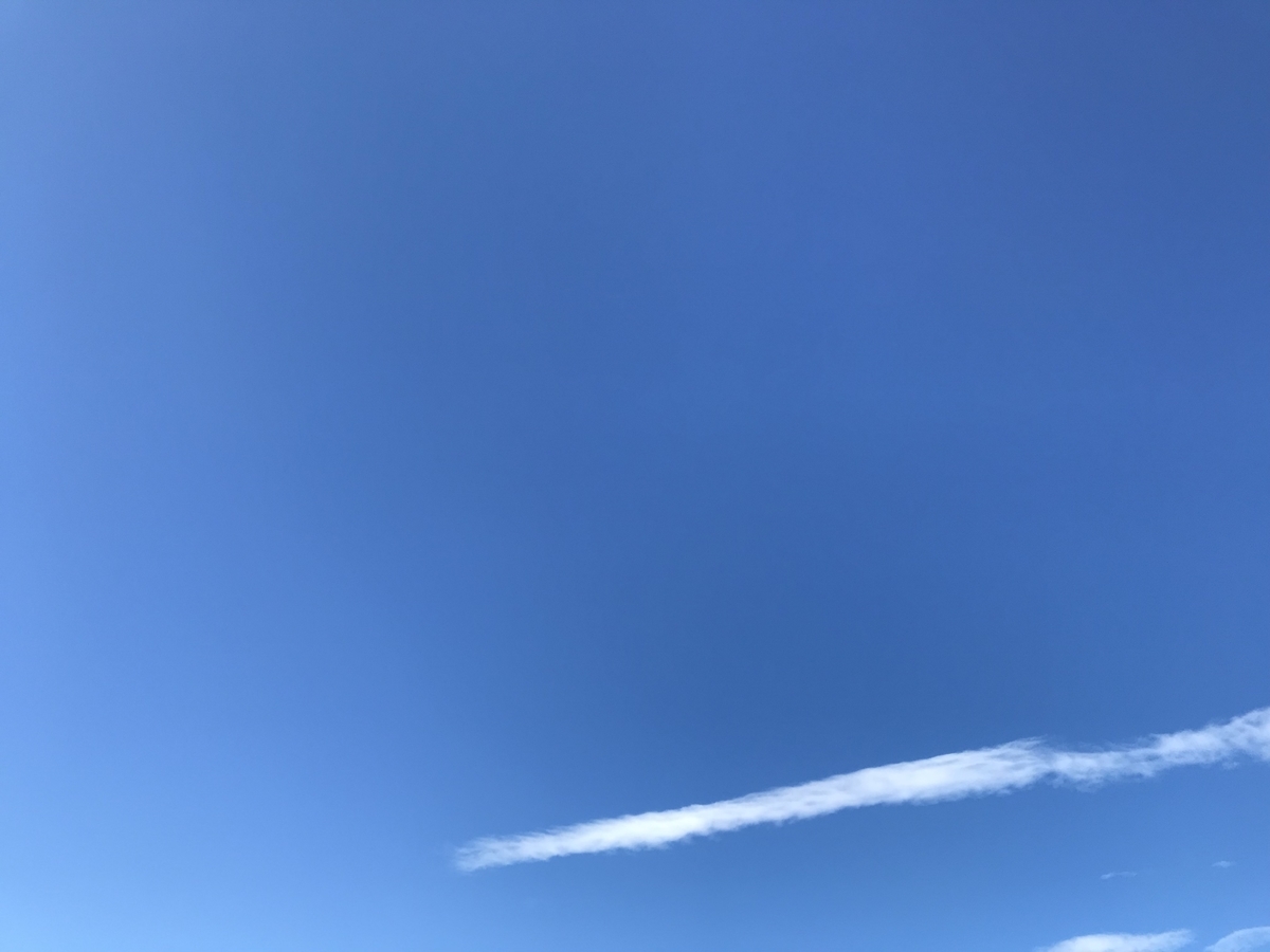f:id:norisuke_slow_life:20191031171627j:plain