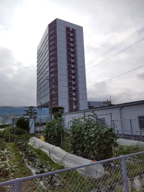 f:id:noritetsu-papa:20220702234202j:image
