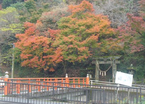 f:id:noritomi294:20161121201915j:plain