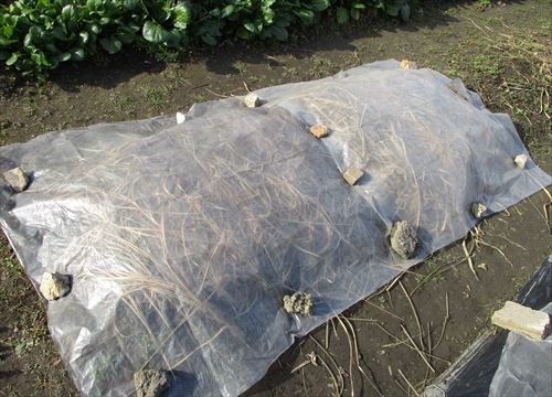 f:id:noritomi294:20170103164446j:plain