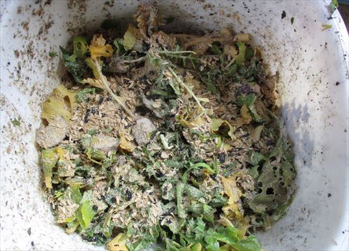 f:id:noritomi294:20170103165228j:plain f:id:noritomi294:20170103165228j:plain