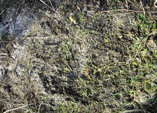 f:id:noritomi294:20170104144451j:plain f:id:noritomi294:20170104144451j:plain