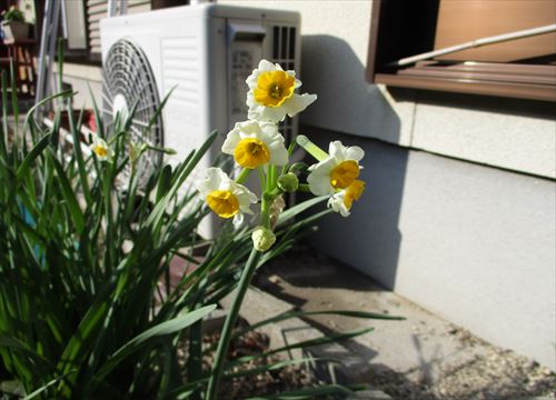f:id:noritomi294:20170105151127j:plain f:id:noritomi294:20170105151127j:plain