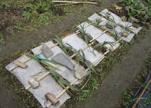 f:id:noritomi294:20170112174413j:plain