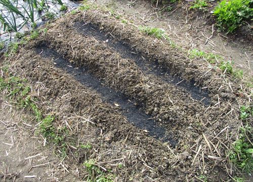 f:id:noritomi294:20170201175410j:plain