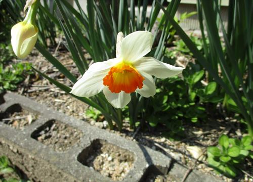 f:id:noritomi294:20170406131341j:plain f:id:noritomi294:20170406131341j:plain