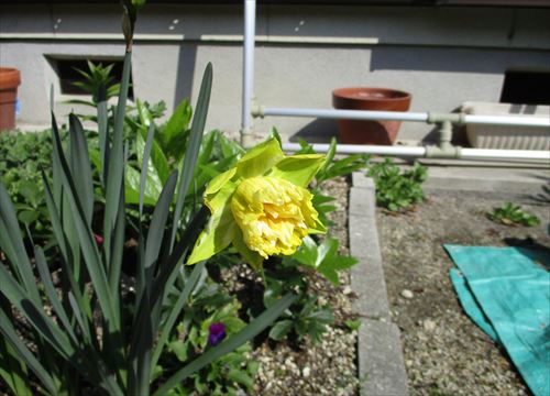 f:id:noritomi294:20170406131752j:plain f:id:noritomi294:20170406131752j:plain