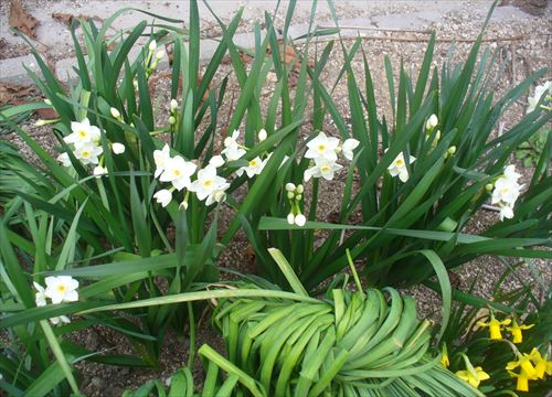 f:id:noritomi294:20170406132601j:plain f:id:noritomi294:20170406132601j:plain