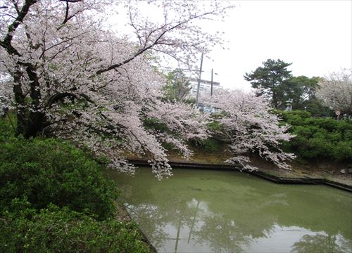 f:id:noritomi294:20170407194708j:plain