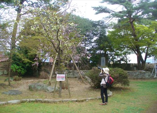f:id:noritomi294:20170407200917j:plain