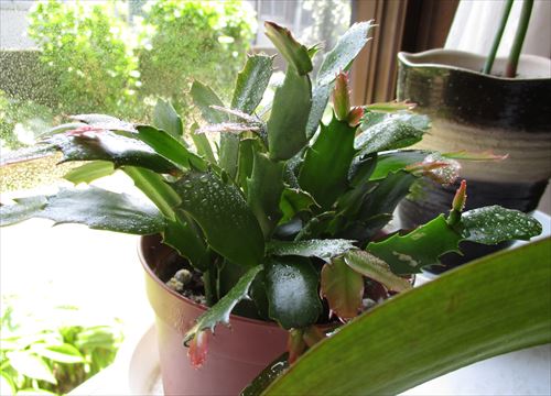 f:id:noritomi294:20170414194555j:plain f:id:noritomi294:20170414194555j:plain