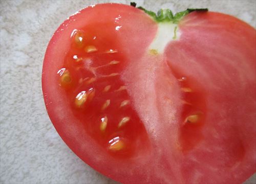 f:id:noritomi294:20170419173749j:plain f:id:noritomi294:20170419173749j:plain