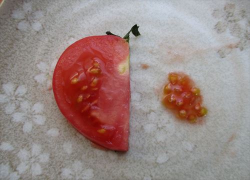 f:id:noritomi294:20170419173825j:plain f:id:noritomi294:20170419173825j:plain