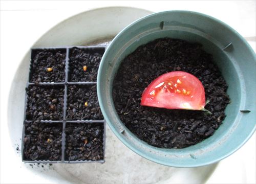 f:id:noritomi294:20170419174018j:plain f:id:noritomi294:20170419174018j:plain