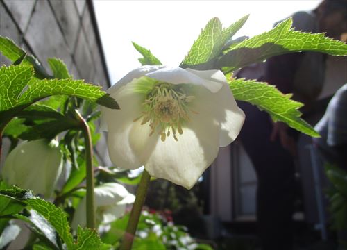 f:id:noritomi294:20170507170658j:plain f:id:noritomi294:20170507170658j:plain