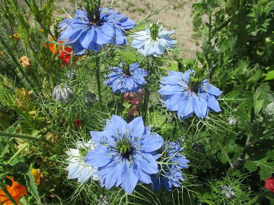 f:id:noritomi294:20190522180111j:plain f:id:noritomi294:20190522180111j:plain