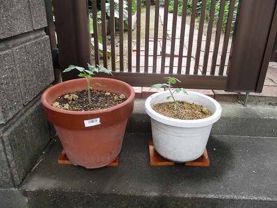 f:id:noritomi294:20190718130810j:plain
