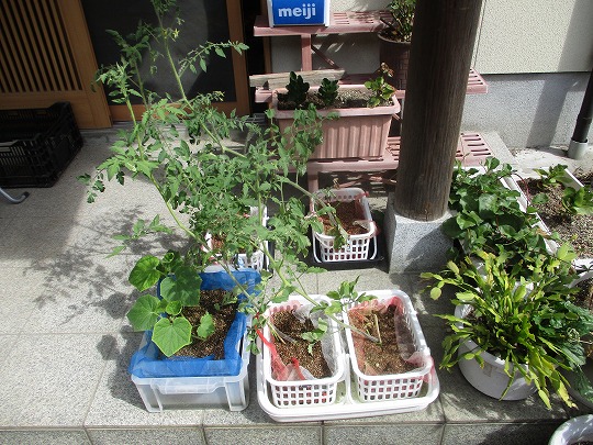 f:id:noritomi294:20190814100824j:plain