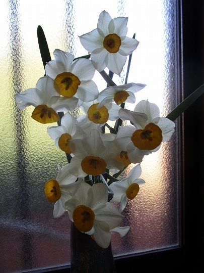 f:id:noritomi294:20200103204839j:plain f:id:noritomi294:20200103204839j:plain