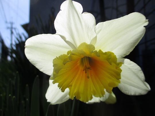 f:id:noritomi294:20200225164303j:plain f:id:noritomi294:20200225164303j:plain