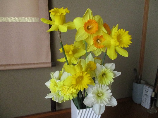 f:id:noritomi294:20200309073301j:plain