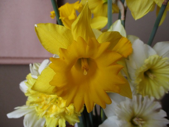 f:id:noritomi294:20200310162721j:plain f:id:noritomi294:20200310162721j:plain