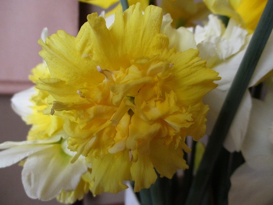 f:id:noritomi294:20200311152605j:plain f:id:noritomi294:20200311152605j:plain