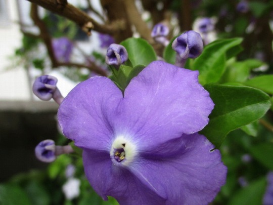 f:id:noritomi294:20200510143038j:plain f:id:noritomi294:20200510143038j:plain