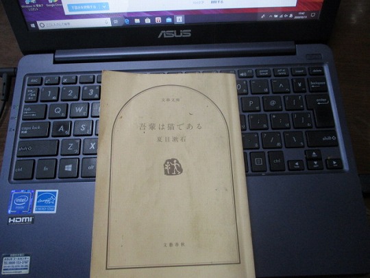 f:id:noritomi294:20200511174648j:plain