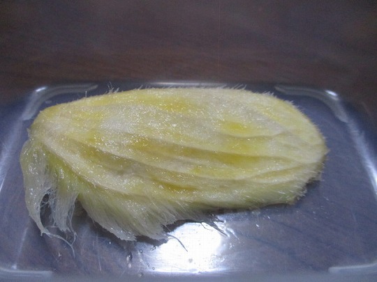 f:id:noritomi294:20200807152156j:plain f:id:noritomi294:20200807152156j:plain