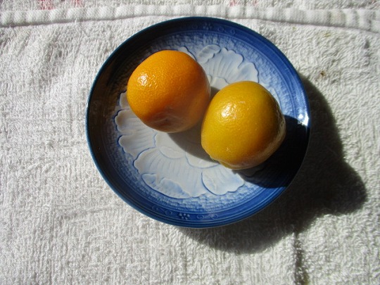 f:id:noritomi294:20201219092728j:plain