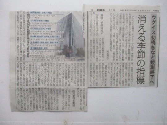 f:id:noritomi294:20201227152755j:plain