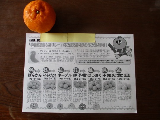 f:id:noritomi294:20210127155457j:plain