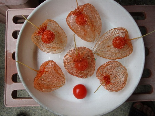 f:id:noritomi294:20210917175252j:plain