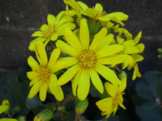 f:id:noritomi294:20211030195639j:plain