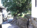 20091012105400