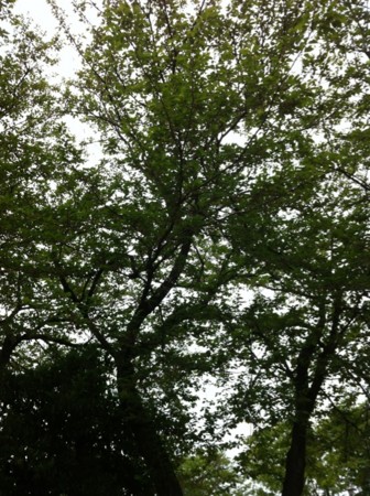 20120502012608