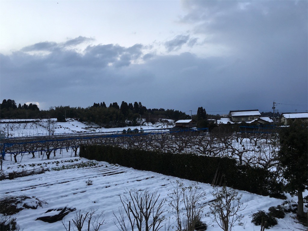 f:id:noritora:20170311040104j:image