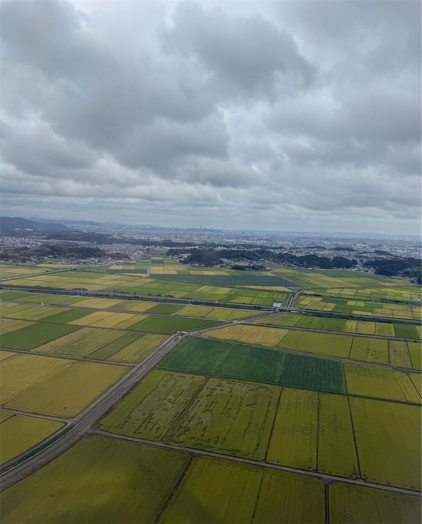 f:id:noriyang351:20260912095245j:image f:id:noriyang351:20260912095245j:image