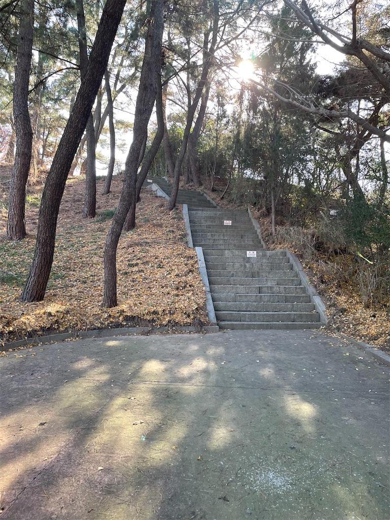 f:id:noriyochan:20250403174220j:image