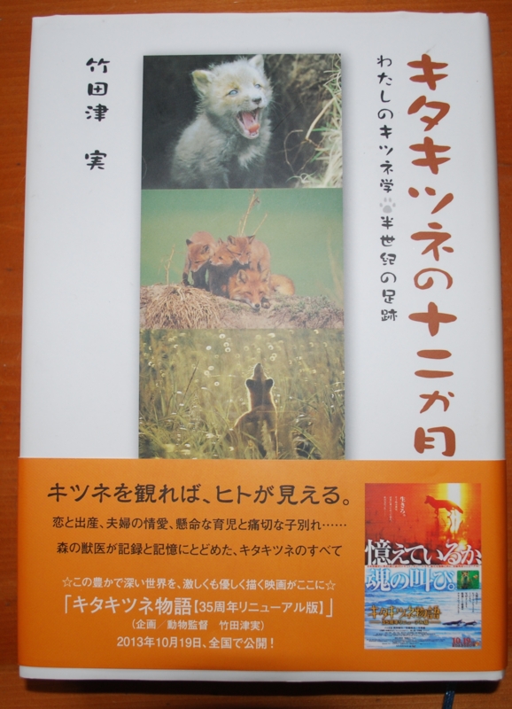 f:id:norlite_designs:20000405072212j:image:w360:left