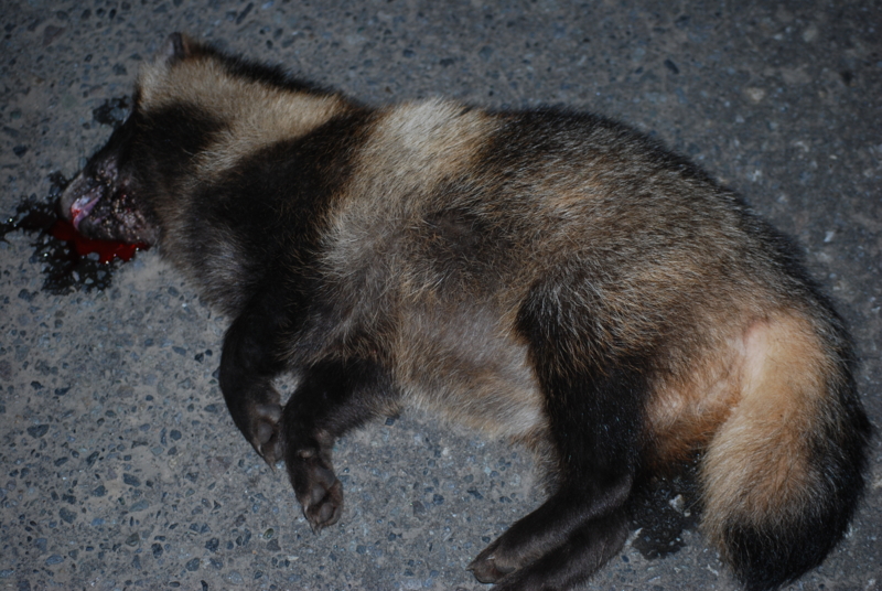 f:id:norlite_designs:20121009184201j:image:w360:left