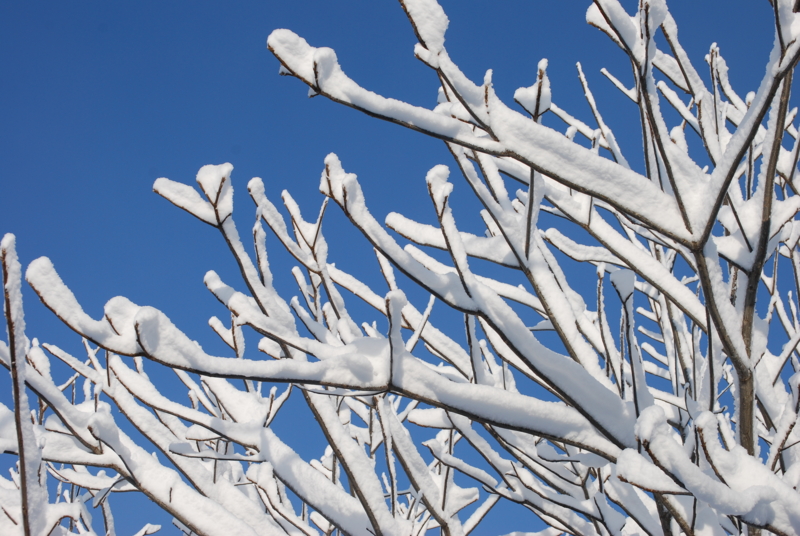 f:id:norlite_designs:20121128082511j:image:w640