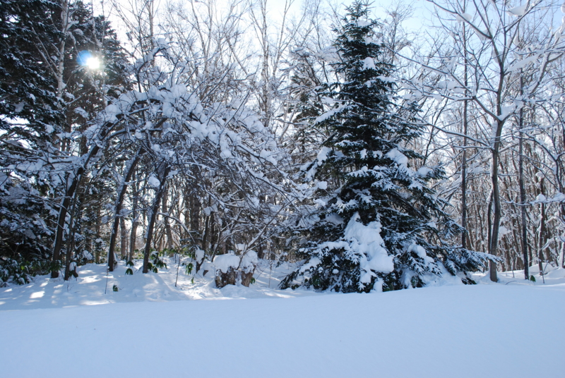 f:id:norlite_designs:20140104103644j:image:w640 f:id:norlite_designs:20140104103644j:image:w640